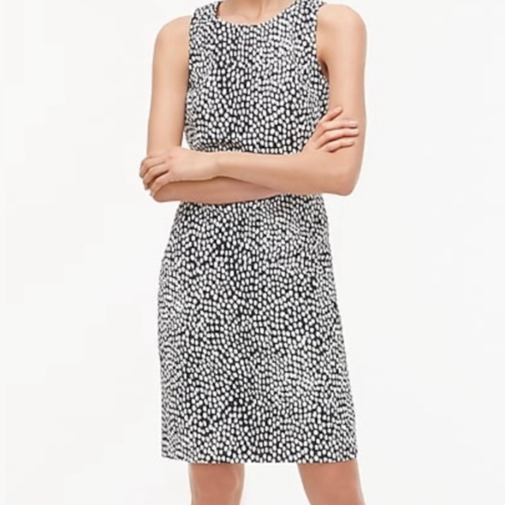 NWT J.CREW DRESS
